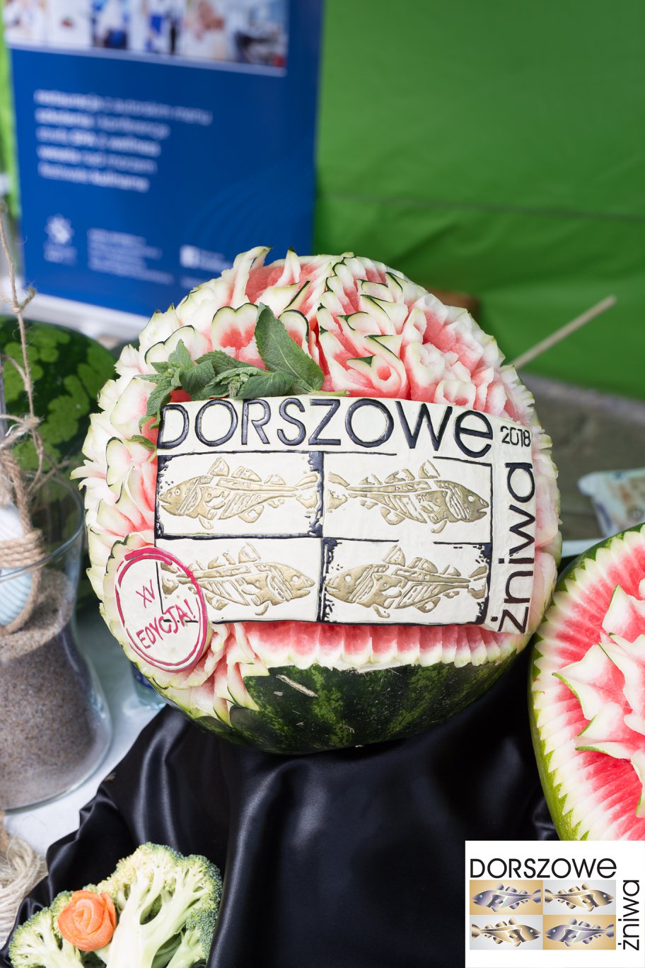 fot. Iwona Kowalska